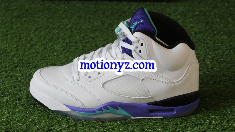 Authentic Air Jordan 5 Retro Grapes